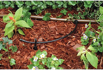 Rain Bird T22-50S Drip Distribution Tubing, 1/4" - size: 50' Roll (Pack of 1), style: Distribution Tubing