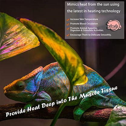 Deep Heat Projector Reptile Heat Lamp Bulb (DHP 100W, PAR30), Basking Light for Bearded Dragon & Leopard Gecko, Carbon Infrared Heater for Amphibian Pet