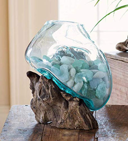 OMA Molten Glass on Driftwood – Hand Blown Vase, Terrarium, or Planter Centerpiece for Coastal & Boho Home Décor (7" – 9" High) - size: 7" - 9" High