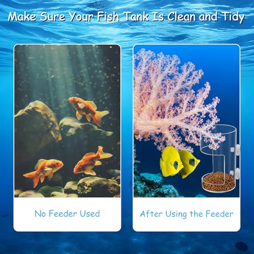 New Fish Tank Feeding Tray with Suction Cup, Feeding Tube Supplies, Tank Divider Supplies, Breeder Box for Aquarium, Round Aquariums & Fish Bowls Accessories - color: 2.Transparent