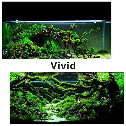 5 Pcs Aquarium Driftwoods Natural Driftwood Fish Tank Decorations Solid Reptile Wood Branches for Fish Tank Small Fish Hiding