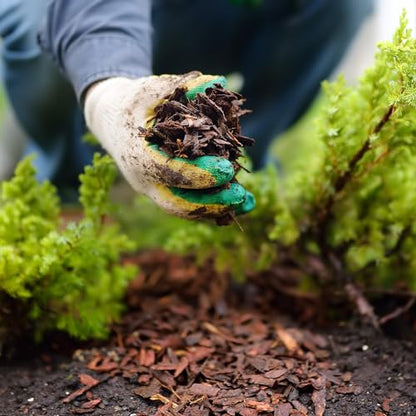 Premium Brown Wood Mulch for Landscaping, Gardens, Lawns, Potting Media, and Potted Plants (0.3 CF - 8 L - 9 QTS) - color: Brown Wood Mulch, size: 0.3 CF - 8 L - 9 QTS