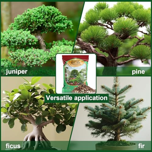 Doter Premium Bonsai Soil Mix with Enhanced Aeration & Drainage 1qt - Professional Grade Potting Soil for Bonsai Pots - color: Bonsai Soil, size: 1qt
