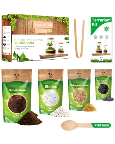 Terrarium Kit, Succulents & Indoor Plants Set DIY | Starter Pack for Any Plant – Build Your Own Ecosystem – Supplies for 64 fl oz Jar or Pot – (Jar & Plants Not Included)