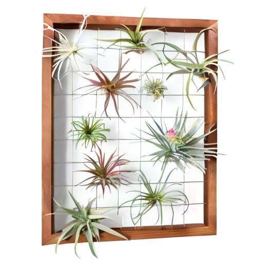 Mkono Air Plant Holder Hanging, 16" Wooden Wall Display Hanger Frame Decor | Unique Wire Shelf Design, Dual Mount & Tabletop, for Indoor Live Fern Succulent, Christma Plant Lover Gift, Airplant Excluded