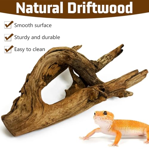 Hamiledyi Reptile Wood Branches 11.8" Length Snake Climbing Branch Lizard Habitat Natural Wood Decoration Bearded Dragon Climbing Accessories for Leapord Gecko