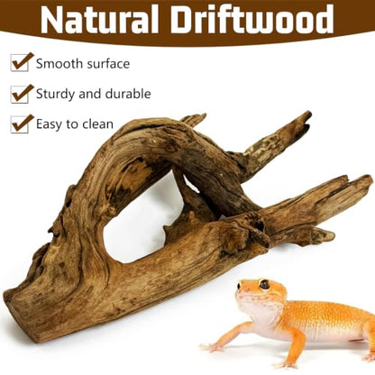 Hamiledyi Reptile Wood Branches 11.8" Length Snake Climbing Branch Lizard Habitat Natural Wood Decoration Bearded Dragon Climbing Accessories for Leapord Gecko