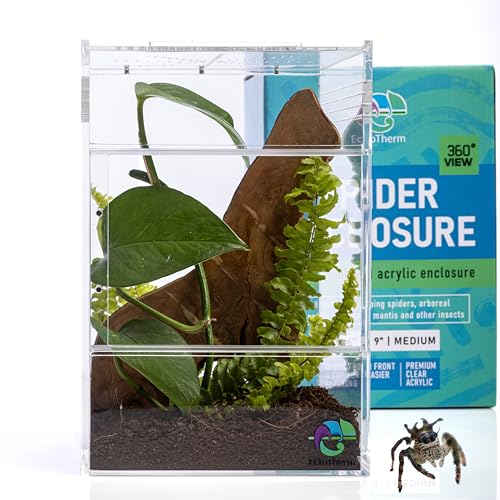 EctoTherm Arboreal Jumping Spider Enclosure and Arboreal Tarantula Enclosure - size: Medium