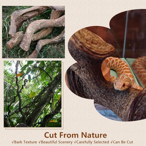 BNOSDM 2Pcs Reptile Climbing Branches Decor,2.5-3.25" Think Snake Climbing Branch,Gecko Climb Wood,Lizard Bold Forest Branch,Tank Habitat Tree Trunk Decorations for Bearded Dragons,Chameleons,Frogs - size: 2PCS|XL:2.50-3.25"D,13"L