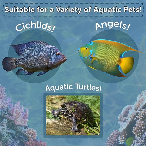 Red Shrimp, Freeze Dried 3/8" to 1/2" Floating Red River Shrimp for Cichlids, All Tropical Fish, Koi & Pond Fish, Aquatic Turtles, Reptiles, Rodents 1oz Canister