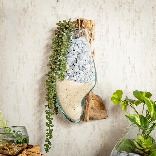 Cape Craftsmen Wall Mounted 12" Molten Glass Hanging Terrarium Kit on Natural Driftwood, Indoor Wall Planter Vase on Wood, Propagation Station for Hydroponics Plants, Succulent Pot - size: Wall Mounted