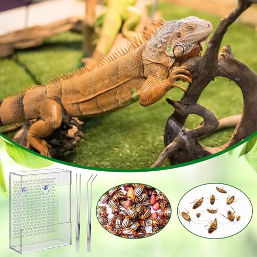 Geyoga Bearded Dragon Feeder with Suction Cups and 2 Tweezers Chameleon Bug Bowl Bug Feeder for Bearded Dragon Acrylic Reptile Feeding Box Tank and Aquarium Accessories for Lizard Gecko Frog(Clear) - color: Clear