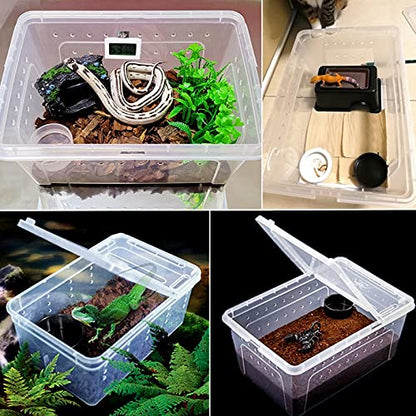 Hamiledyi 2PCS Reptile Feeding Box Snake Breeding Box Transparent Cage and Reptile Plants Tank Habitat Decorations Fake Hanging Vines 5 Pcs for Bearded Dragon, Leopard Gecko, Lizard, Chameleon, Snake