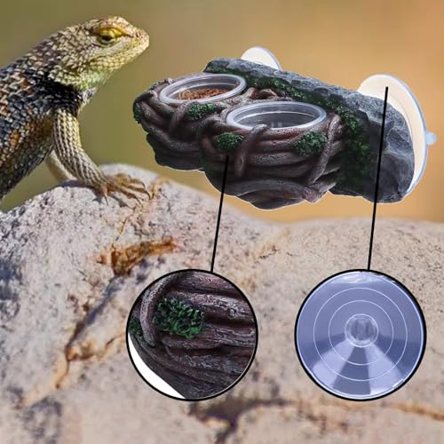 AIICIOO Crested Gecko Feeding Ledge Double Bowl Reptile Vine Food Ledge with 4 PCS Cup Corner Water Bowl for Lizard Snake Bearded Dragon Frog Turtle Terrarium Tank Decor - size: Vine Dual Feeder