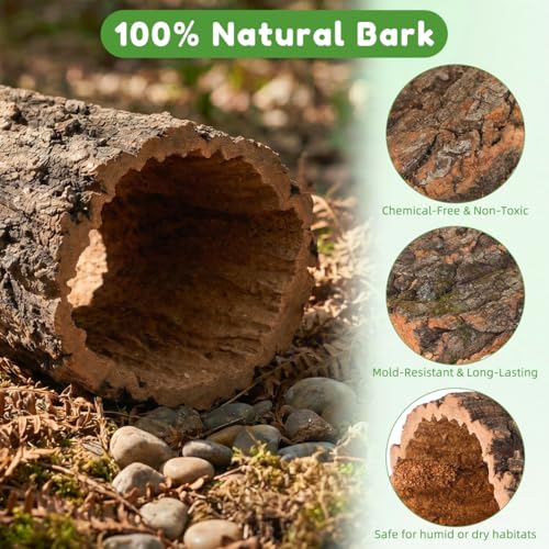 Natural Cork Bark for Reptiles - 3Pcs Reptile Hide & Terrarium Decor Set - Wood Log Rounds & Flats for Leopard Gecko, Bearded Dragon, Snake & Crested Gecko Habitat - Climbing Surface