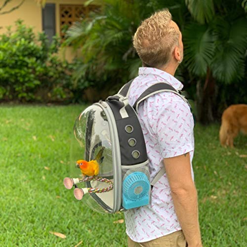 Bird Traval Carrier Cage, Clear Space Capsule Astronaut Backpack to Carry Parakeet Cockatiel Parrot with Metal Tray Bird Feeder and Wood Perch, Vet Transport Bag - color: Pink