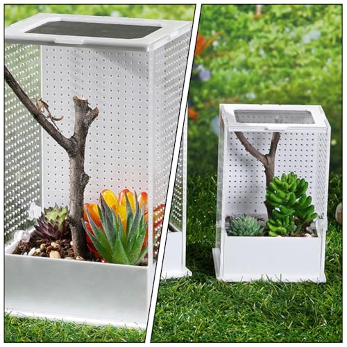 2 Pcs Feeding Box Insect Breeding Container Transparent Habitat Reptile Tarantula Scorpion Lizard