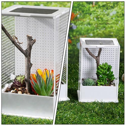 2 Pcs Feeding Box Insect Breeding Container Transparent Habitat Reptile Tarantula Scorpion Lizard