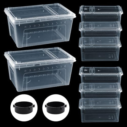 8 Pcs Reptile Feeding Box Snake Plastic Transparent Breeding Box for Bearded Gecko Dragon Lizard Spider Frog Scorpion (2 Pcs Large Size, 6 Pcs Small Size)