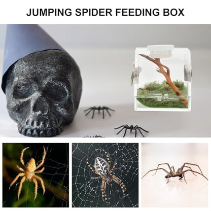 ibasenice Jumping Spider Cage 1.5In Clear Acrylic Escape-Proof Feeding Box with Built-in Lamp for Night Viewing – Mini Terrarium for Jumping Spiders & Small Arachnids - color: Multi