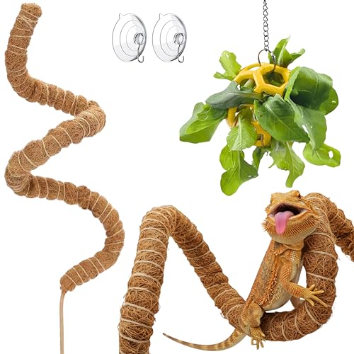 Bearded Dragon Climbing Bridge with Veggie Feeder Ball – Bendable Vine Enrichment Route for Large Tanks, Greens Intro Kit, Reptile/Lizard Tank Accessories (Salad Feeder Ball) - color: Salad Feeder Ball