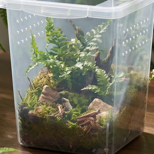 PRETYZOOM Reptile Feeding Box and Multihole Ventilation Design 4pcs with Crystal Observation Plastic Spider Container for Crawler Feeding for Frogs and Geckos and Terrestrial Habitat