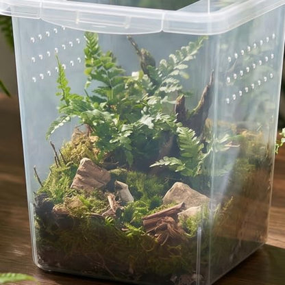 COHEALI 4pcs Transparent Reptile Feeding Boxes with Optimized Ventilation Portable Small Enclosure and Cricket Keeper Cage Versatile Habitat for Gecko Frog Scorpion Easy- Pet Containers
