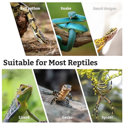 VCEPJH Snake Climbing Branch, 2Pcs Reptile Wood Natural Cork Log Tank Accessories Tree Trunk for Chameleon Bearded Dragon Gecko Snake Frog Spider - size: Grape Wood (L:13.7"-15.7"-2pcs)