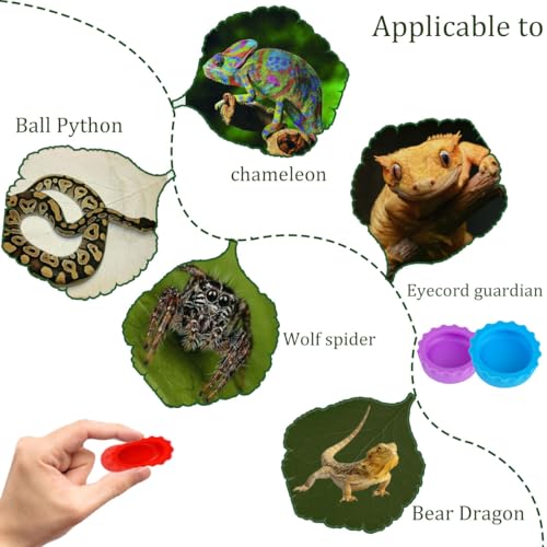 Silicone Reptiles Bowls Gecko Mini Feeders Dish Reptile Feeding Cups Colorful