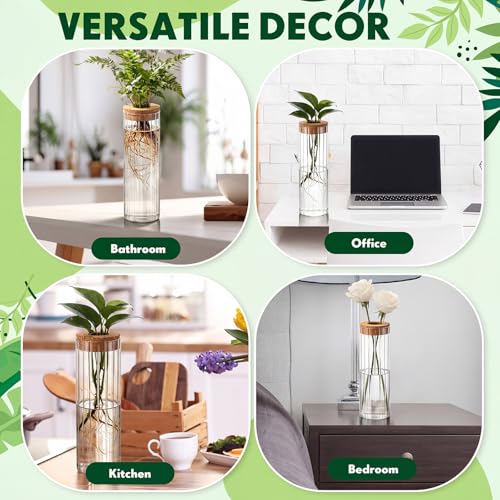 6 Set Propagation Station Jar Desktop Glass Planter Station Flower Vases Water Terrarium Jar with Cork Lid for Propagating Flower Plants Centerpiece Office Home Garden Decor(Large) - size: Large