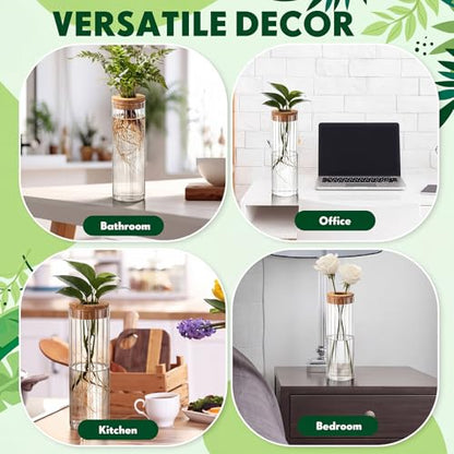 6 Set Propagation Station Jar Desktop Glass Planter Station Flower Vases Water Terrarium Jar with Cork Lid for Propagating Flower Plants Centerpiece Office Home Garden Decor(Large) - size: Large