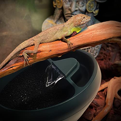 MYGIIKAKA Reptile Drinking Water Fountain Chameleon Accessories Automatic Circulation System with Trough, Bearded Dragon Cage Accessories Reptiles Habitat Waterfall for Snake/Lizard/Chameleon/Turtle