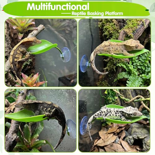 3pcs Turtle Basking Platform Tree Frog Gecko Turtle Tank Accessories Leaf Shape Crested Gecko Hide Frog Tank Accessories with Suction Cups Turtles Tanks Decor