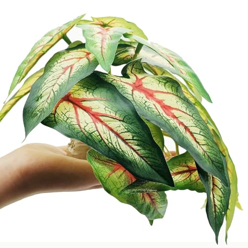 Fake Plants for Reptile Terrarium, Habitat Decor,Artificial Plant | Fake plants with base for ball python bearded dragon Gecko Chameleon Snake Tortoise Tank Accessories-Alocasia Red - color: Alocasia Odora