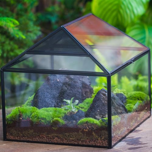 NCYP Large Geometric Glass Terrarium Box with Swing Lid for Tarantula, Snail - 14x12x12 Inches Glass Enclosure (Terrarium Only)