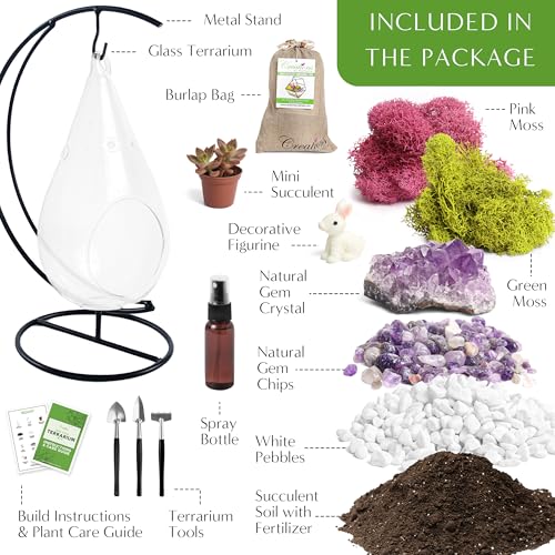 Creations by Nathalie DIY 7" Teardrop Terrarium Kit DIY Terrarium Kit with Live Succulent & Moss, Glass Terrarium Kit for Adults & Teens, Terrarium Moss Kit with Crystals, Handcrafted in the USA - color: Customizable Glass