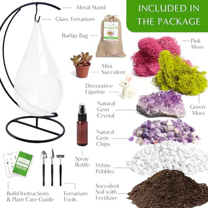 Creations by Nathalie DIY 7" Teardrop Terrarium Kit DIY Terrarium Kit with Live Succulent & Moss, Glass Terrarium Kit for Adults & Teens, Terrarium Moss Kit with Crystals, Handcrafted in the USA - color: Customizable Glass