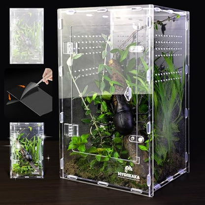 Acrylic Jumping Spider Enclosure - Insect Terrarium for Spiders, Mantises, Tarantulas & Frogs - size: Large