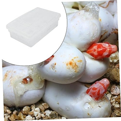 COLLBATH Hatching Reptile Breeding Box Plastic Incubation Container for Geckos Snakes and Lizards Easy to Clean and Transparent Design for Egg