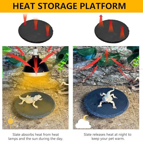 Reptile Basking Platform 6.0IN Turtle Rock Slate Plate Food Bowl Feeding Dish Tortoise Bathing Resting Terrace for Bearded Dragon Chameleon Gecko Snake Lizard Frog Newt - size: 6.0inch(1pcs)