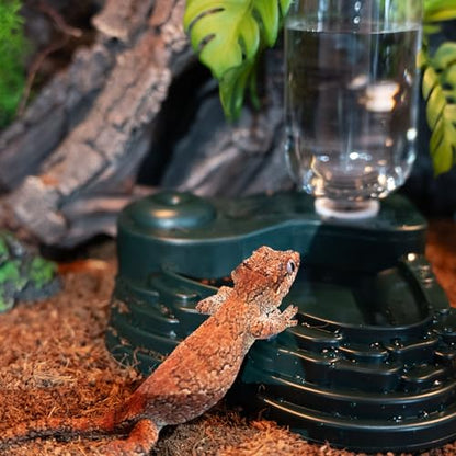 REPTI ZOO Water Feeder and Fogger, 2 in 1 Reptile Humidifier with Water Bowl, Automatic Water Dispenser for Chameleon Frog Lizard Gecko