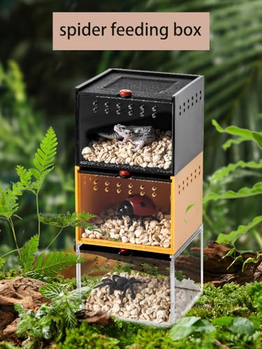 Black Acrylic Jumping Spider Enclosure Cage for Insect Reptile Isopods | Semi-concealed Portable Breeding Enclosure, Sliding Lid Handheld Design Easy to Observe Jumping Spiders and small pets