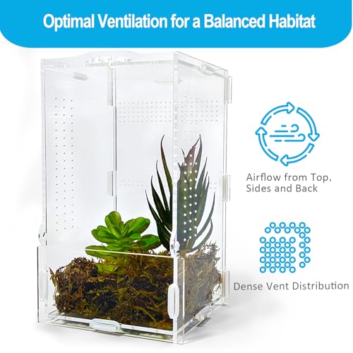 Jumping Spider Enclosure, Arboreal Tarantula Enclosure, Praying Mantis Terrarium Critter Cage for Jumping Spider, Tarantula Slings, Snail, Isopods, Beetles, Millipedes, Springtails - size: Small