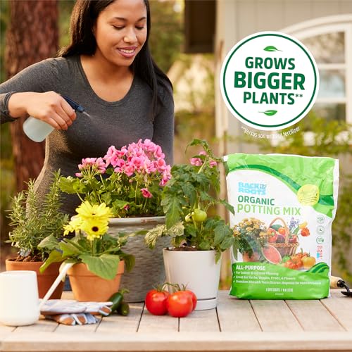 Back to the Roots All-Purpose Potting Mix 6 Quarts (Best Value), 100% Organic & USA Made for Herbs, Veggies, Flowers, w/Nutrient Rich Plant Food, Worm-Castings, & Moisture Controlling Yucca, 2 Packs - size: 12 Quart, style: Specialty Soil