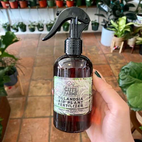 Cute Farms Tillandsia Air Plant Fertilizer | Gentle Weekly Use Formula Plant Food | Formulated Nutrients for Air Plants (8 oz Spray Bottle, 3 Pack) - size: 8 oz (3 Pack)