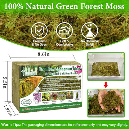 Halatool 1.1 LB Natural Green Forest Moss, 25 QT Long Fiber Sphagnum Moss | No Dyes, Water Retention & Areation, Dried Orchid Moss for Potted Plants Indoor & Outdoor, Orchids Repotting - size: 1.1 lb
