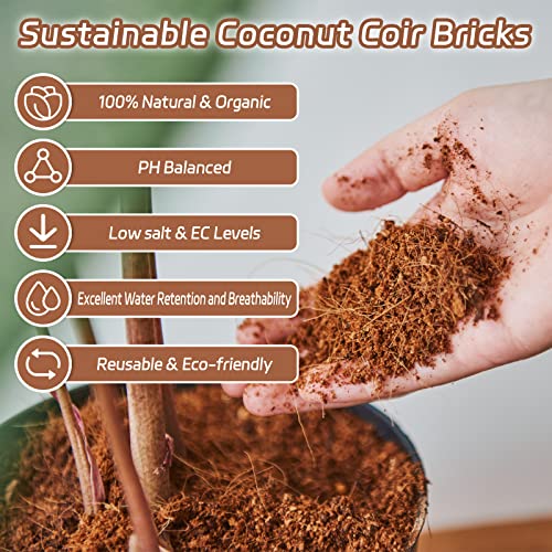 Riare 8pcs Organic Coco Coir Bricks, Natural Coconut Coir for Plants | High Expansion & Moisture Retention Coconut Husk Fiber for Seed Starting, Potting Mix, Composting, Soil Amendment & Reptiles - color: Pack of 8