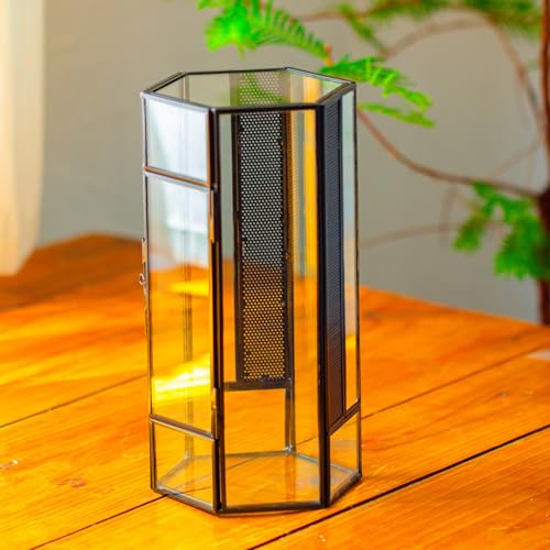 NCYP Small Glass Enclosure Terrarium with Mesh and Door for Spiders - Hexagon Shape Small Mantis Vented Glass Terrarium 4.9'' x 4.3'' x 9.4'', Tabletop Decor, Black (Plants Not Include)