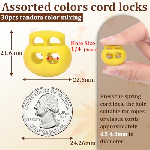 30pcs Assorted Colors Plastic Cord Lock for Drawstring Replacement, Elastic Shoeslace Clip Toggles Stopper Paracord Fastener Slider Gloves Sweatpant Hoodie String Spring Shoe Lace Tie Locks - color: 30pcs Random Color Mixed