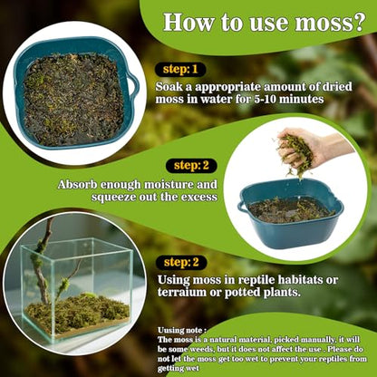 Sukh Sphagnum Moss for Reptiles - 5.5 OZ Reptile Peat Moss Terrarium Bedding Reptiles Lizard Substrate for Reptile Tank, Snake, Leopard Gecko, Ball Python, Crested Gecko, Turtle, Frog, Hamster - size: 5.5 Ounces